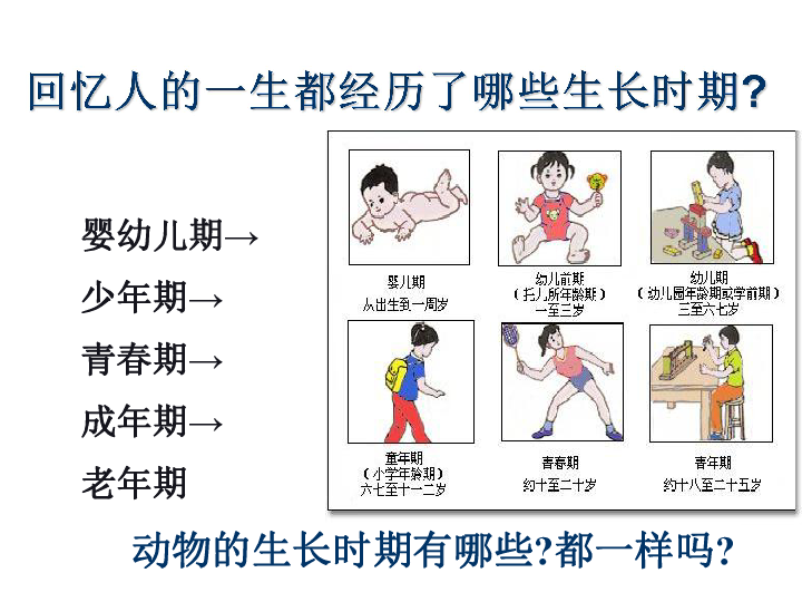 我国科学家发现哺乳动物“计时”奥秘