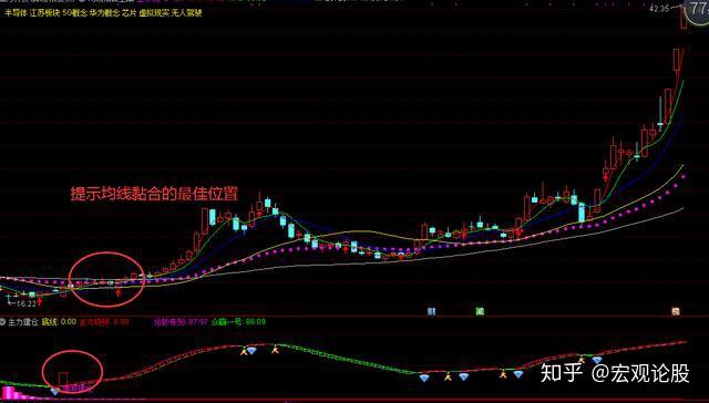246只股短线走稳 站上五日均线
