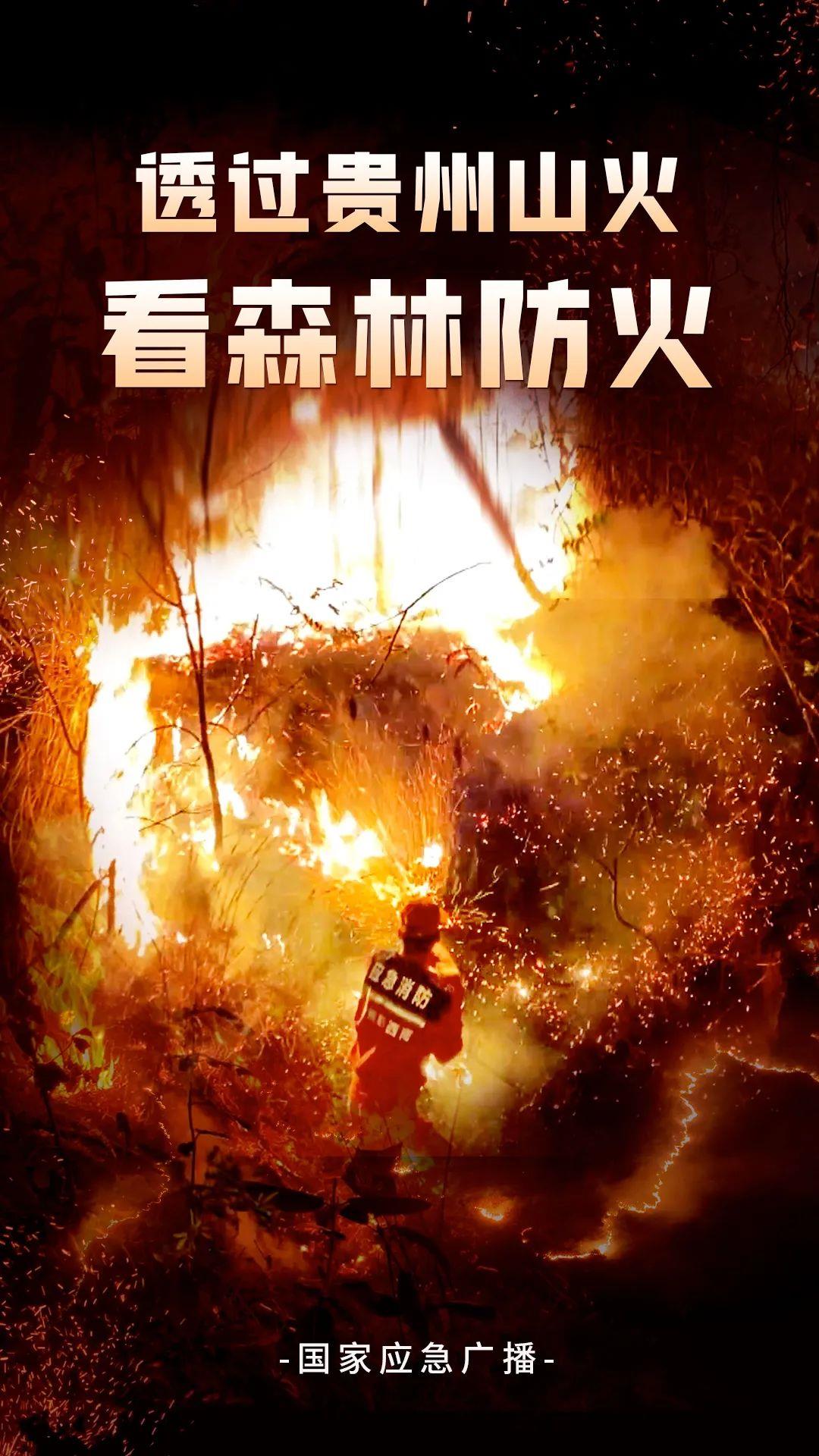 广西增发国债17.57亿元，加快森林草原防火阻隔系统建设