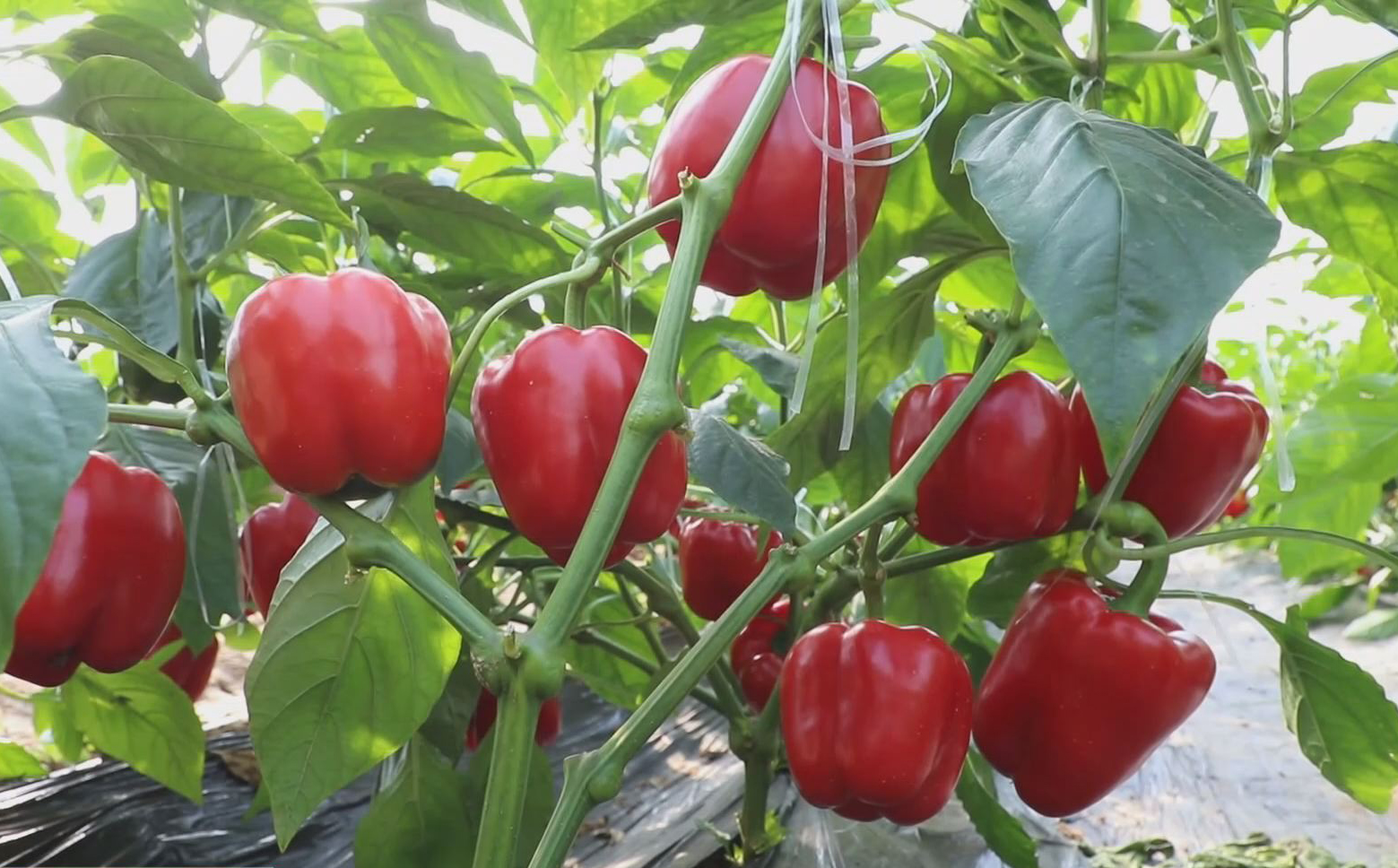 工信部节能司组织召开工业资源综合利用行业座谈会