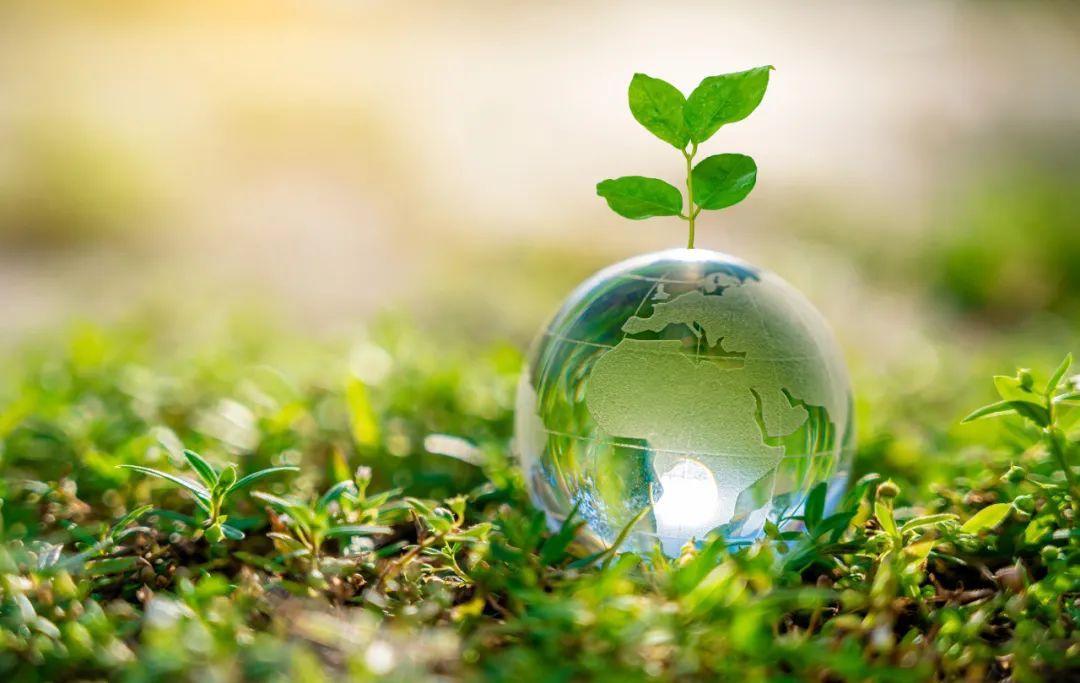 工信部节能司组织召开工业资源综合利用行业座谈会