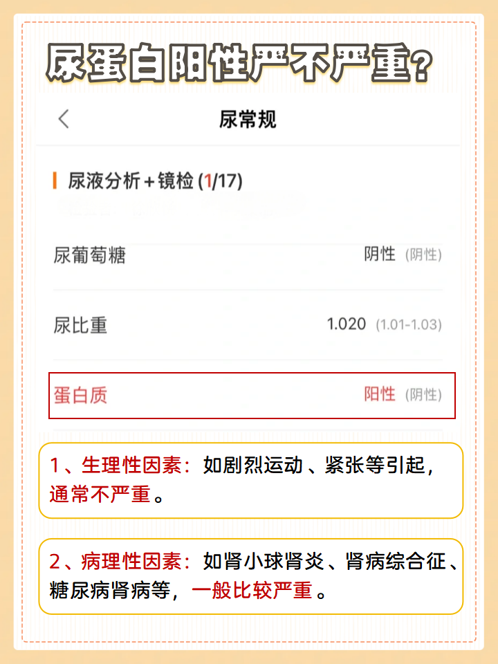 舍得酒业：2025年推出更多具有流量的网红级大单品